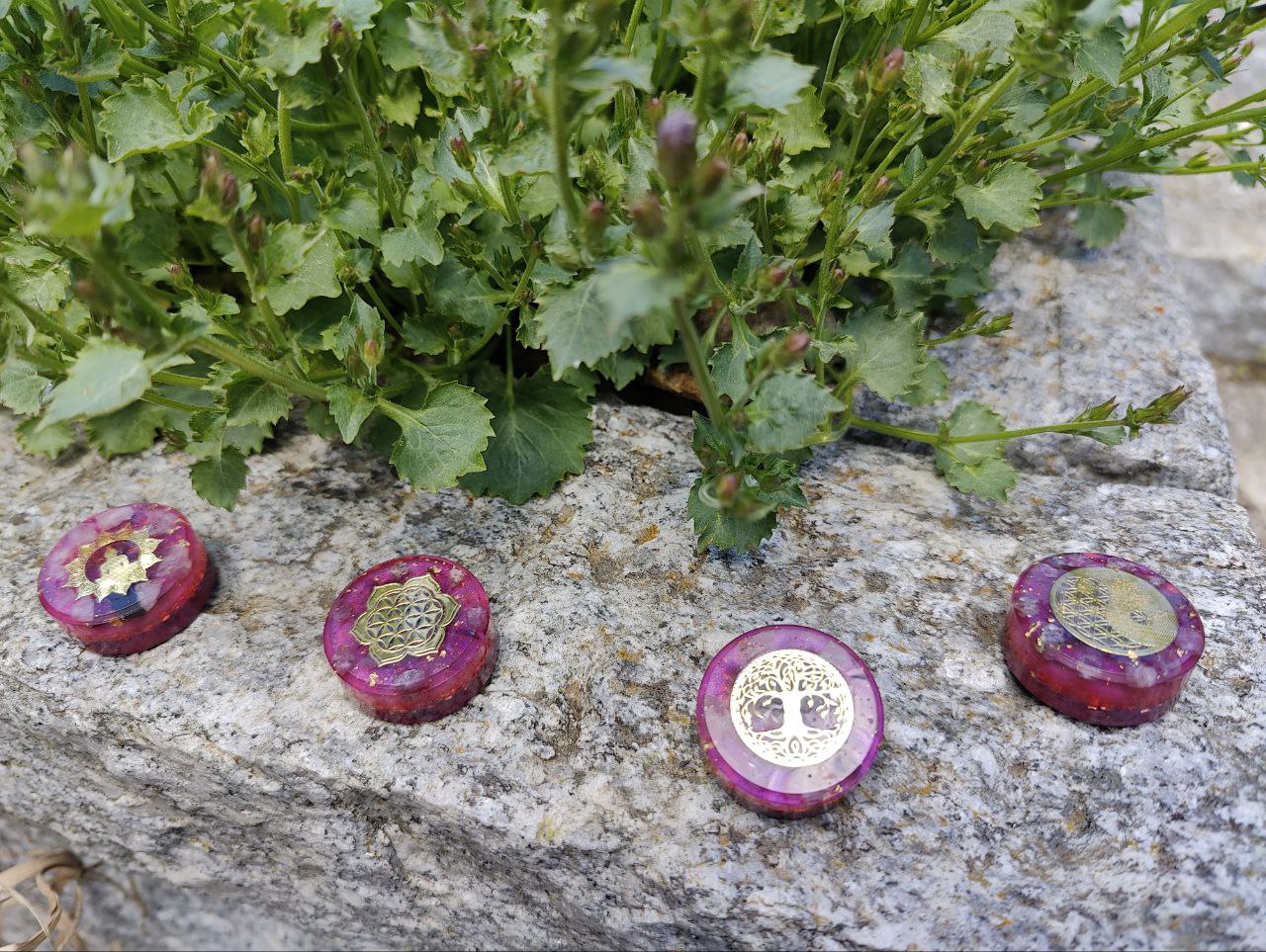 Taschenorgonite für Tiere - Themen