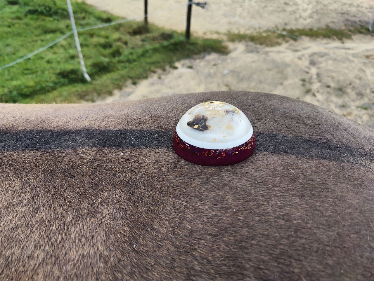 Orgonite für Tiere - Chakren oder Themen