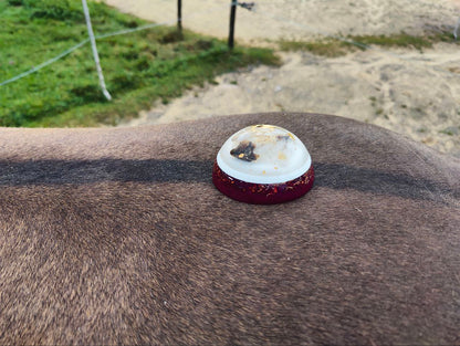 Orgonite für Tiere - Chakren oder Themen