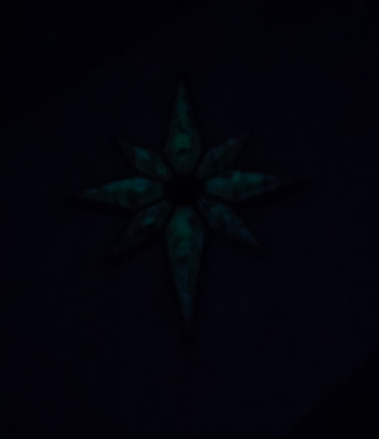 Orgon-Achtstern Bernstein