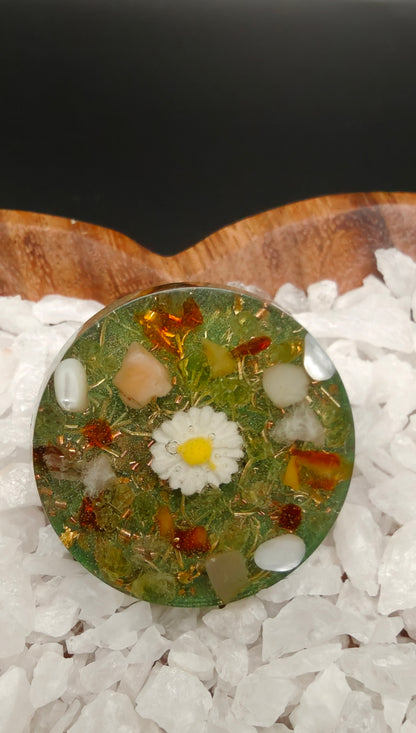 Taschenorgonit "Sommerwiese"