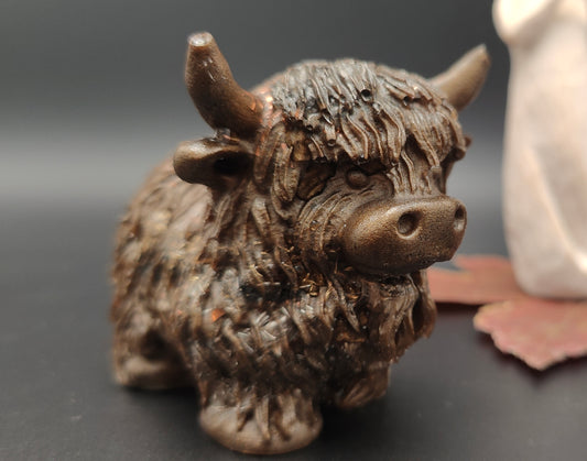 Highland-Cattle "Erdung und Innere Ruhe"